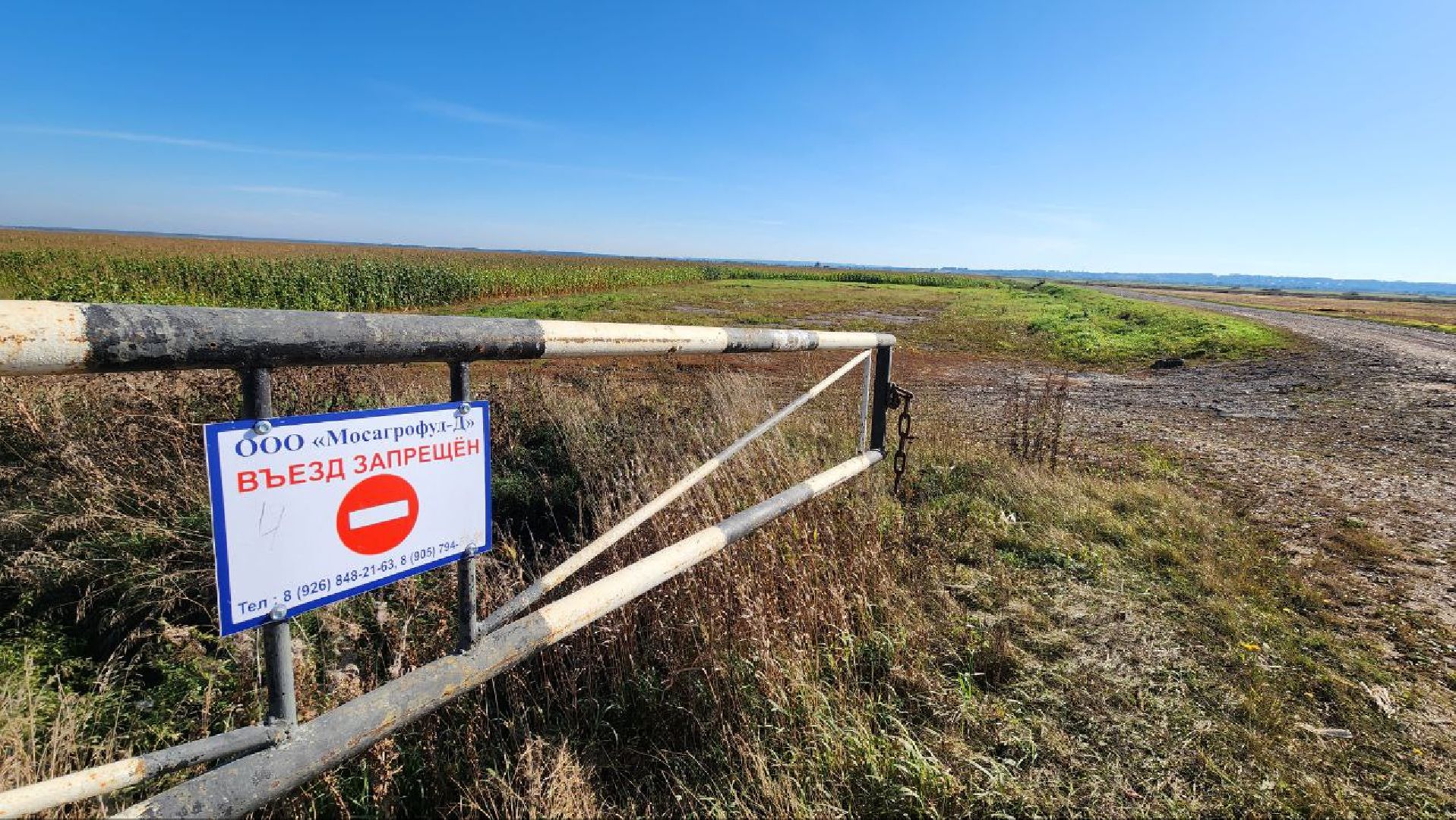 Дмитров, Уборочная кампания, Мосагрофуд, Минсельхоз,