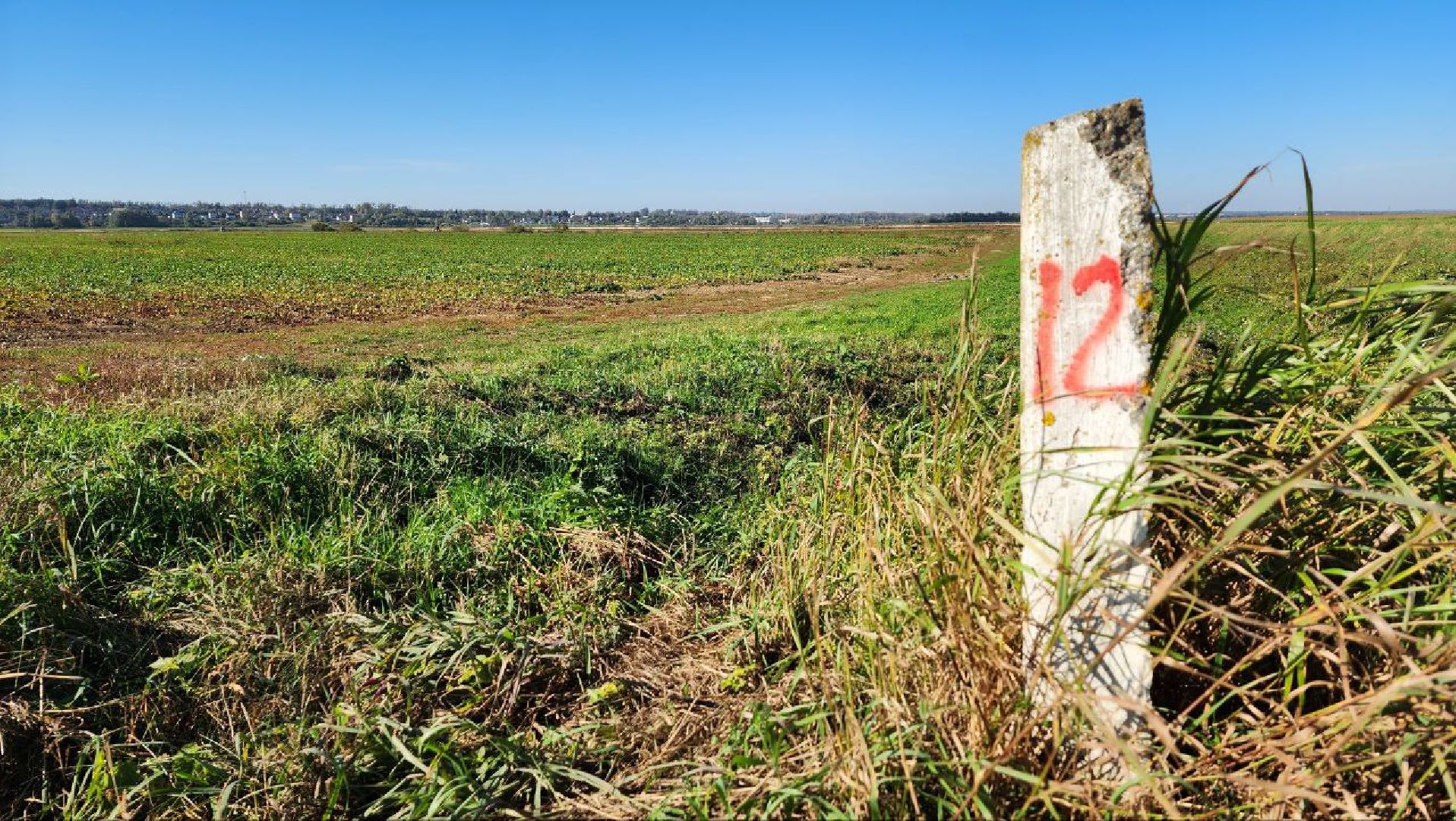 Дмитров, Уборочная кампания, Мосагрофуд, Минсельхоз,
