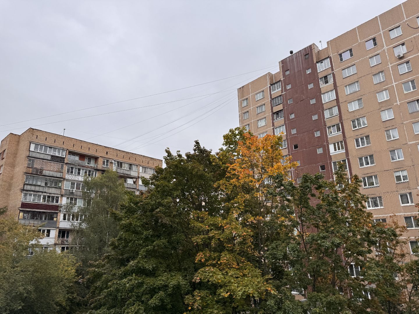 Одинцово, Тепло в Одинцово, Тепло в садах Одинцова,