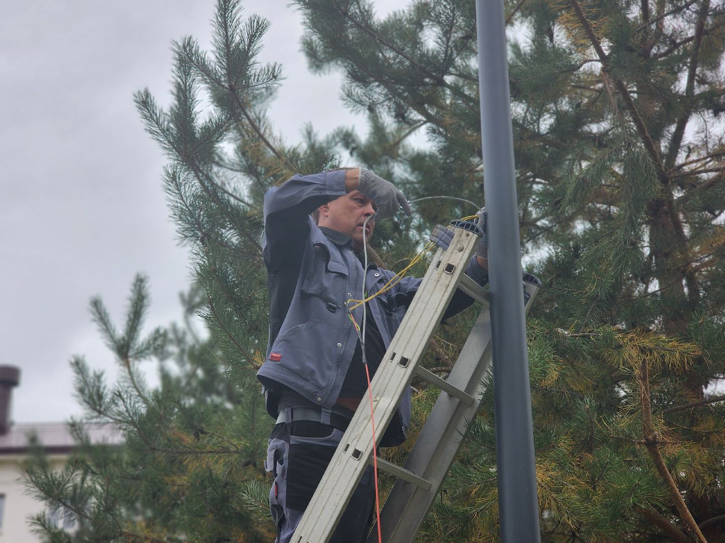 королёв, благоустройство сквера имени чмыреваив королеве, администрация городского округа королев , губернатор московской области,