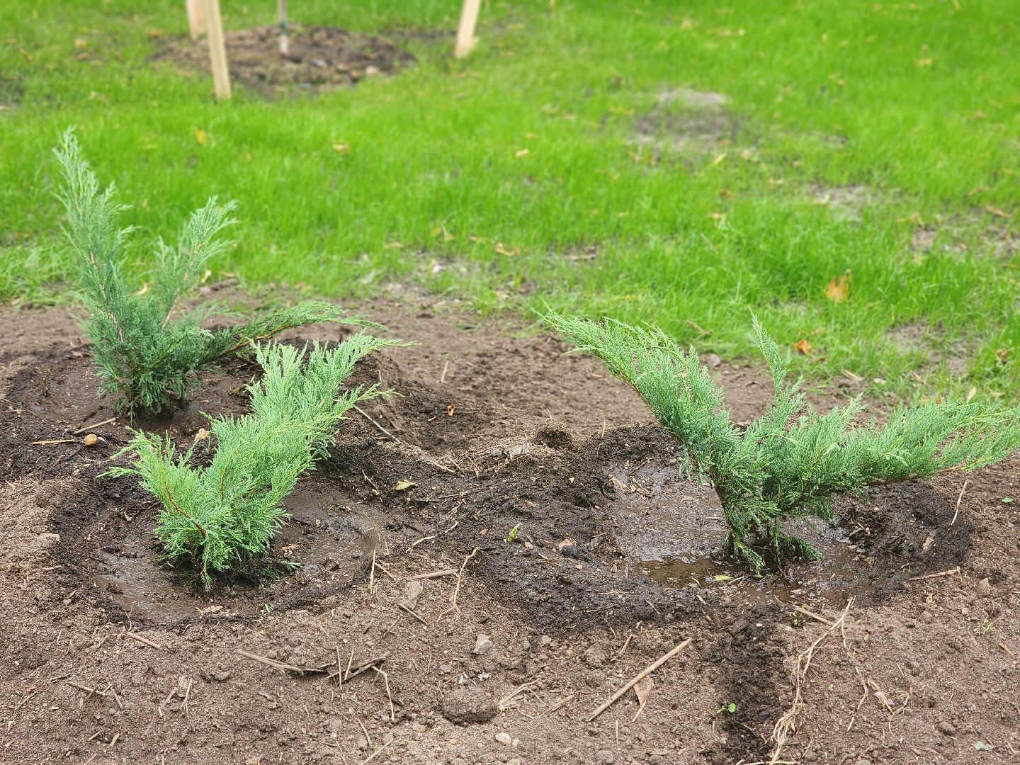 королёв, благоустройство сквера имени чмыреваив королеве, администрация городского округа королев , губернатор московской области,