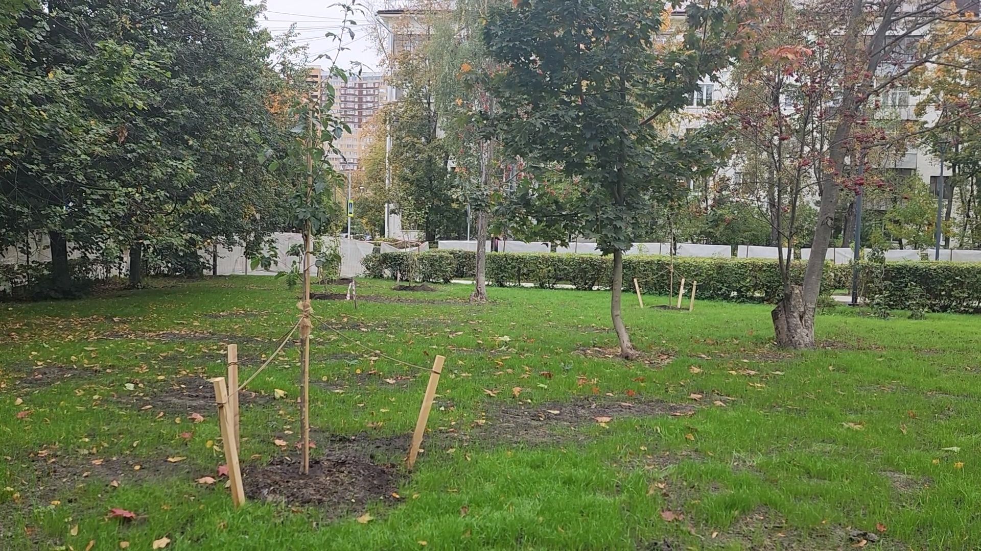 королёв, благоустройство сквера имени чмыреваив королеве, администрация городского округа королев , губернатор московской области,