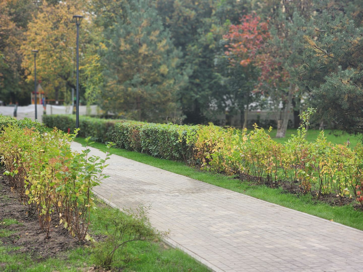 королёв, благоустройство сквера имени чмыреваив королеве, администрация городского округа королев , губернатор московской области,
