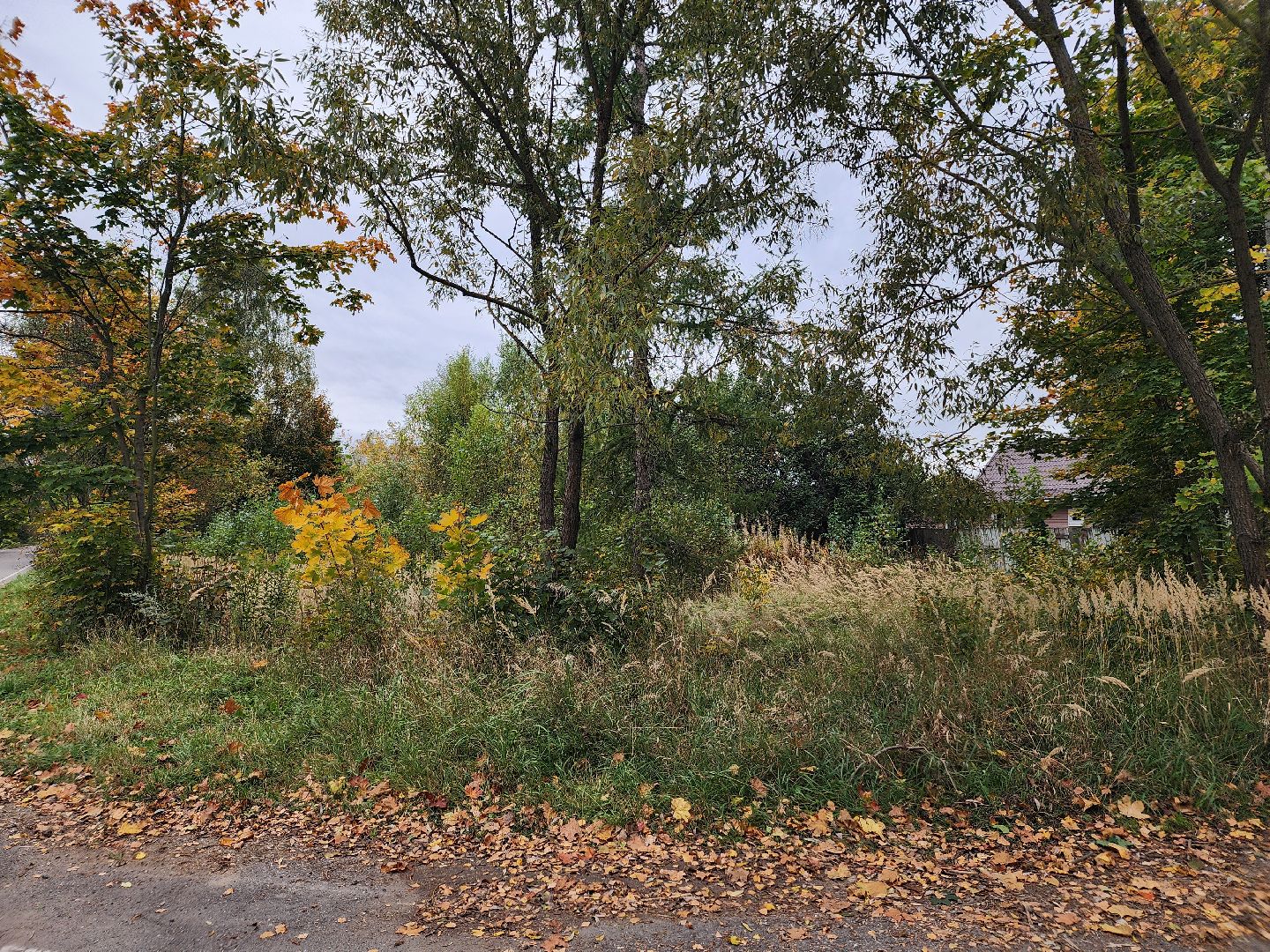 выездная администиация, одинцовский городской округ, большие вязёмы,