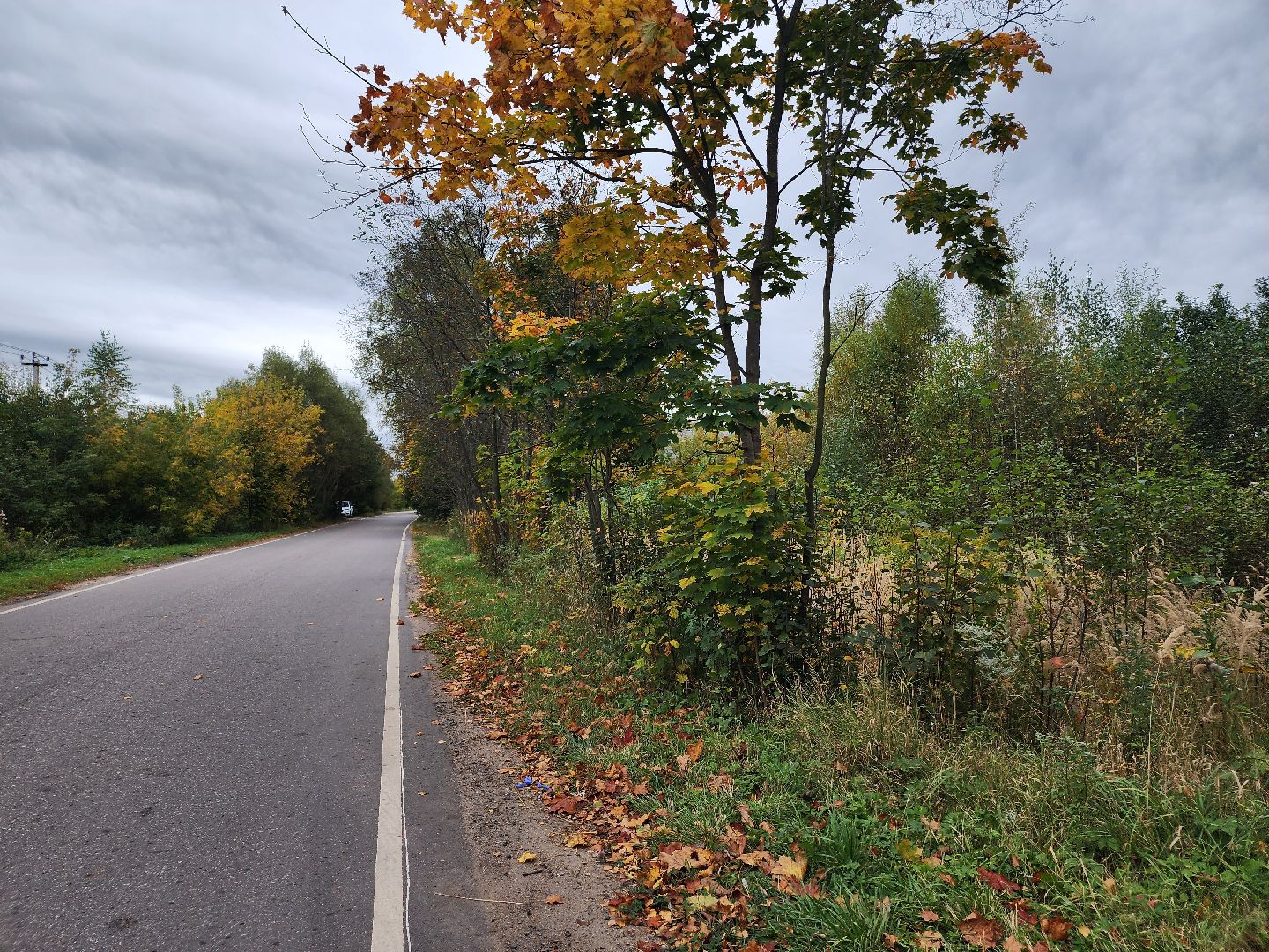 выездная администиация, одинцовский городской округ, большие вязёмы,