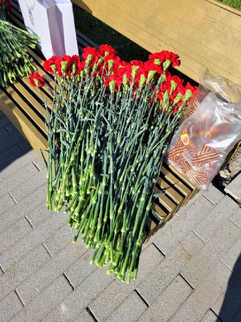 день победы; 9 мая; видное; возложение; аллея славы; дань памяти