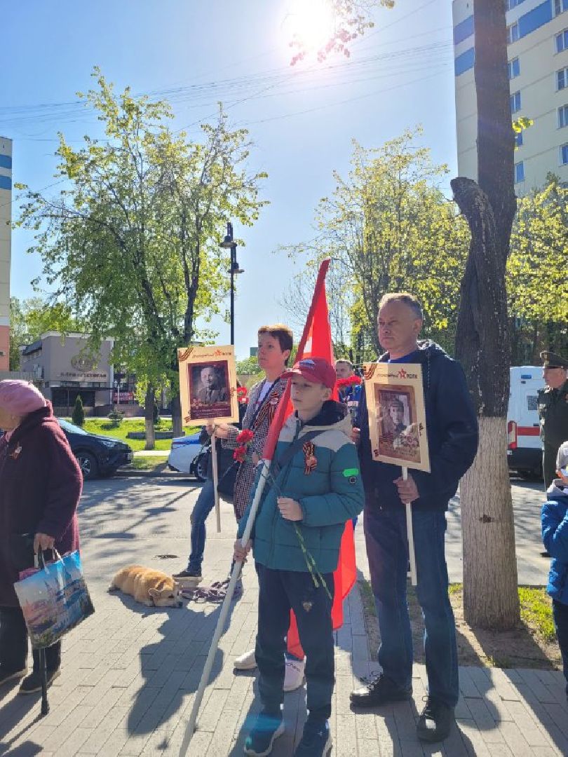 день победы; 9 мая; видное; возложение; аллея славы; дань памяти