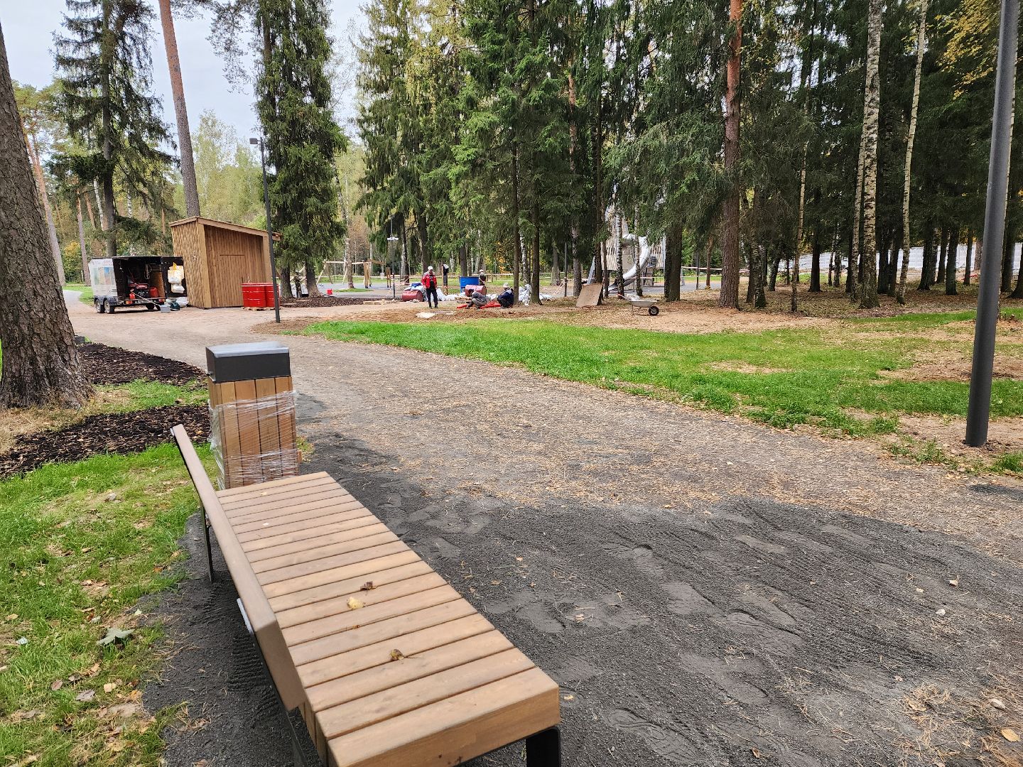 красноармейск, городской округ пушкинский, банный лес, лесопарк, белка, парки подмосковья,