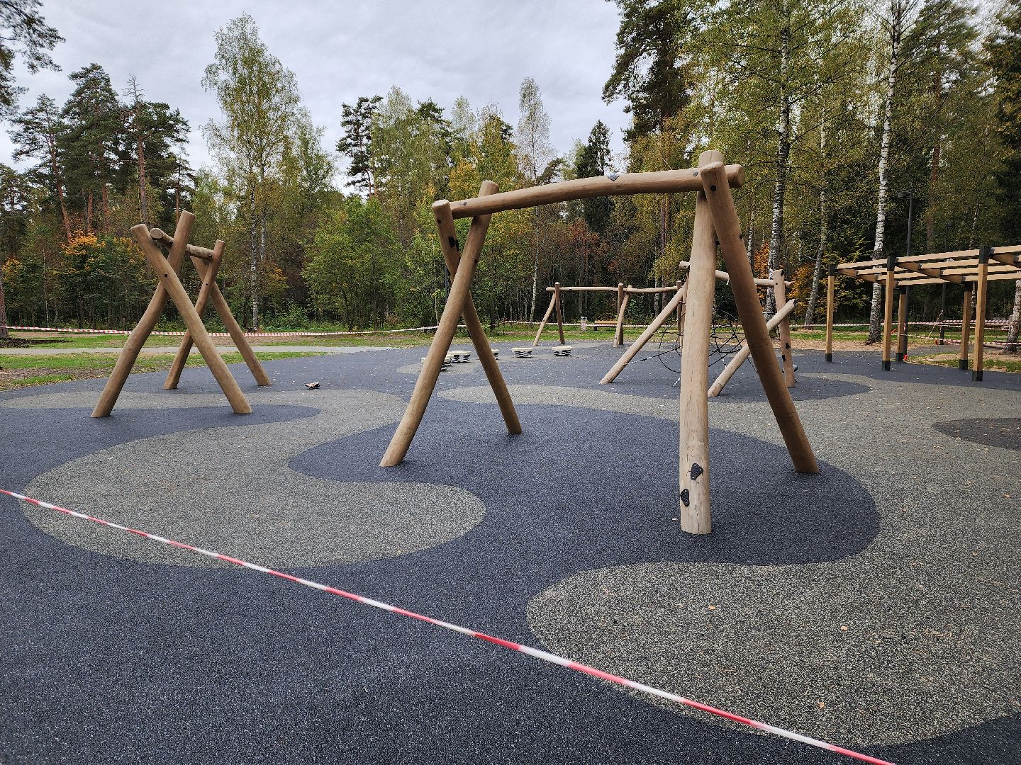 красноармейск, городской округ пушкинский, банный лес, лесопарк, белка, парки подмосковья,