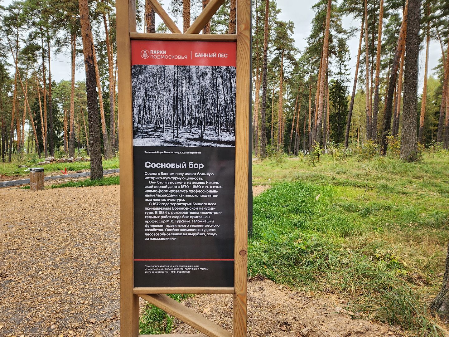 красноармейск, городской округ пушкинский, банный лес, лесопарк, белка, парки подмосковья,