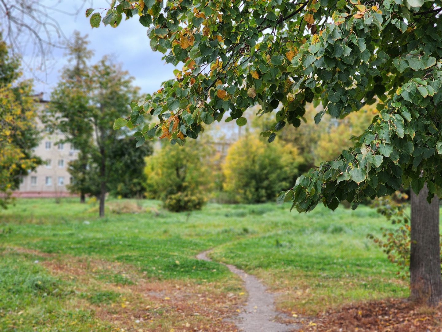 выездная администрация, прием жителей, обращения жителей, старая купавна, богородский городской округ,