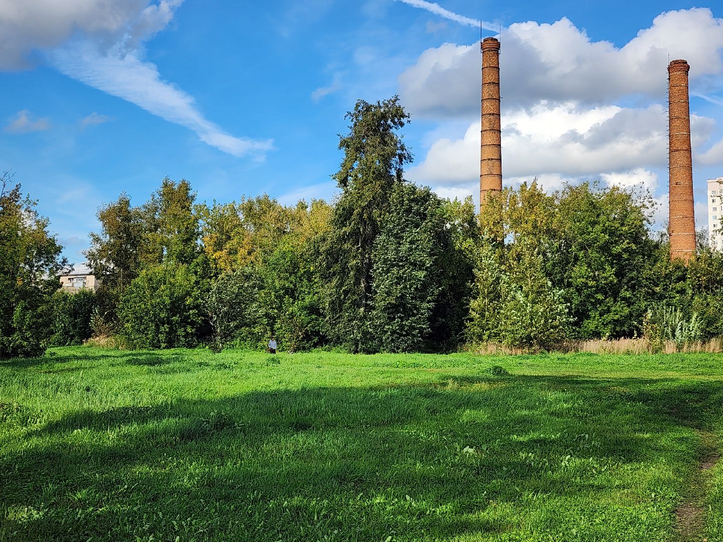 выездная администрация, прием жителей, обращения жителей, старая купавна, богородский городской округ,