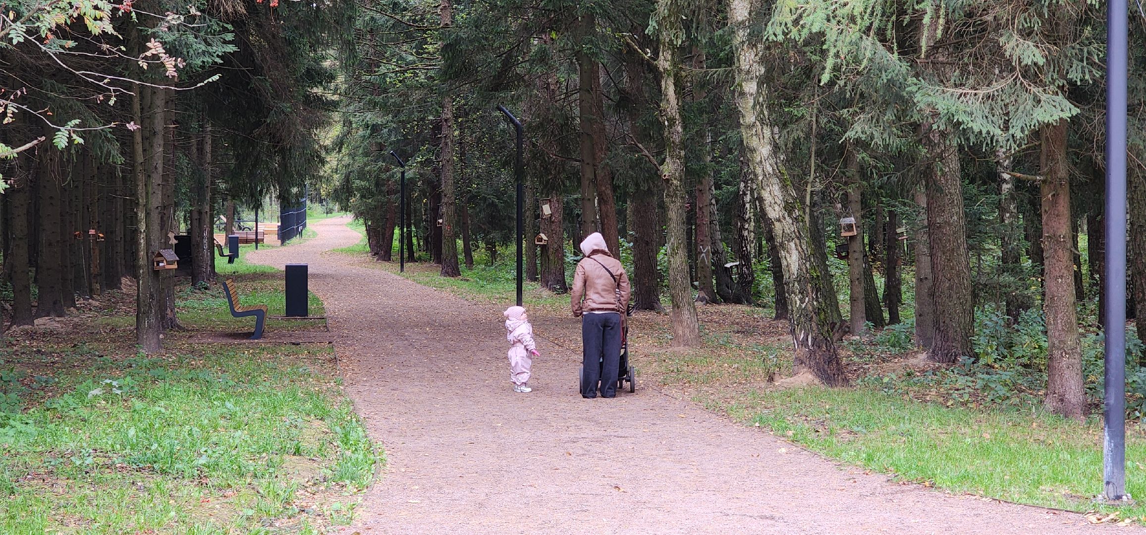 Благоустройство, Общество , Туризм,