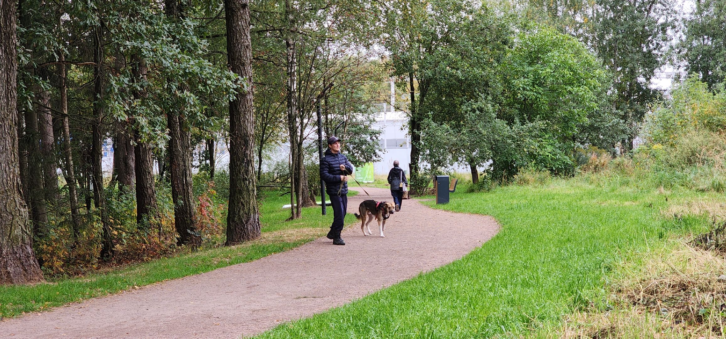 Благоустройство, Общество , Туризм,