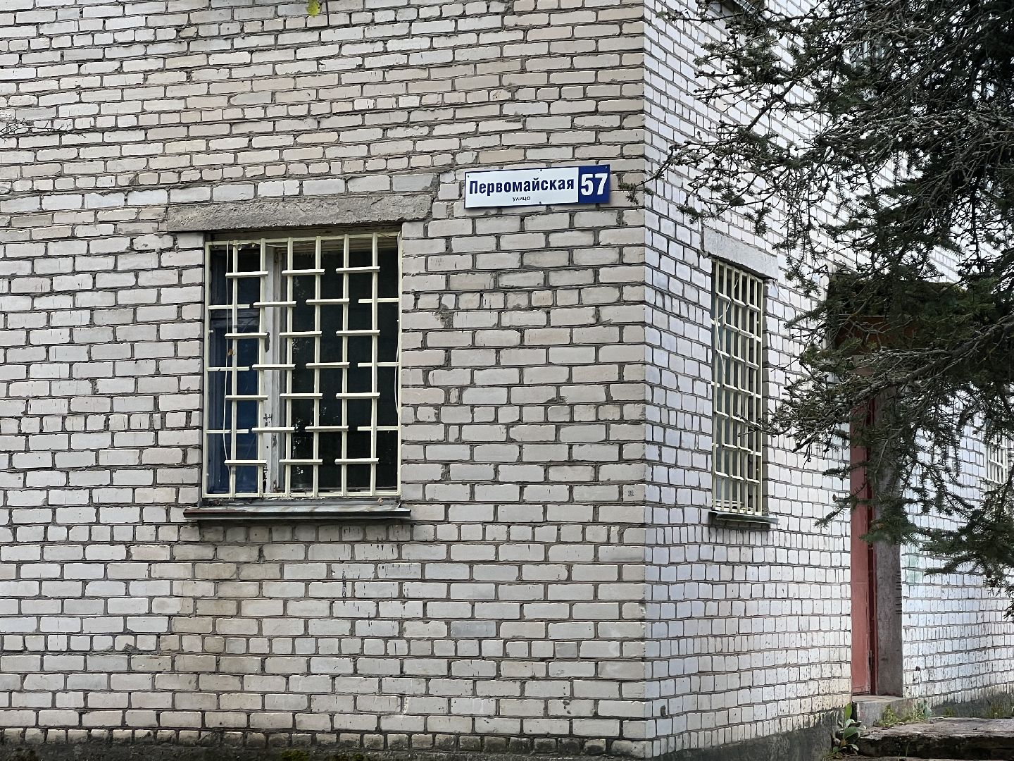 Запрудня, талдомский городской округ, Прививки от бешенства Талдом , Собаки и кошки , Бешенство прививки,