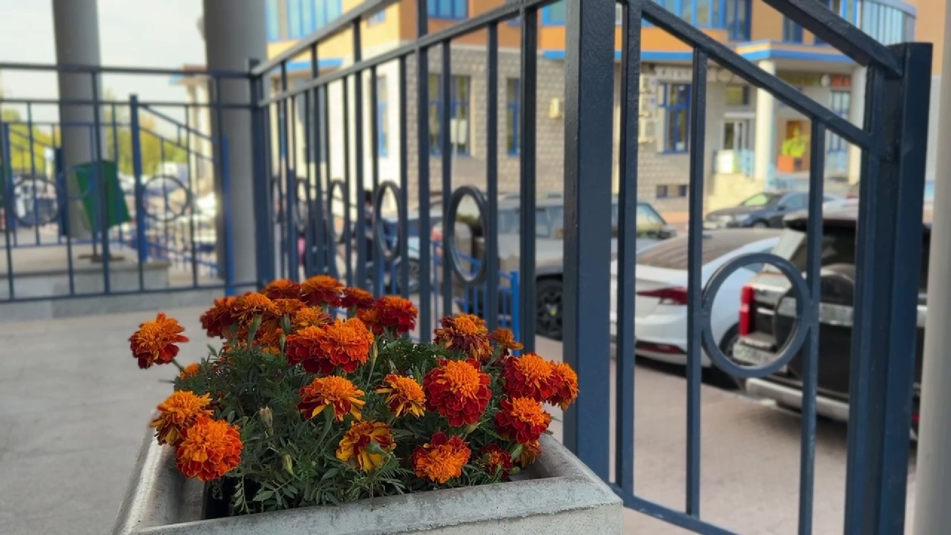 Реутов, ЖКХ, косметический ремонт, просьба жителей,