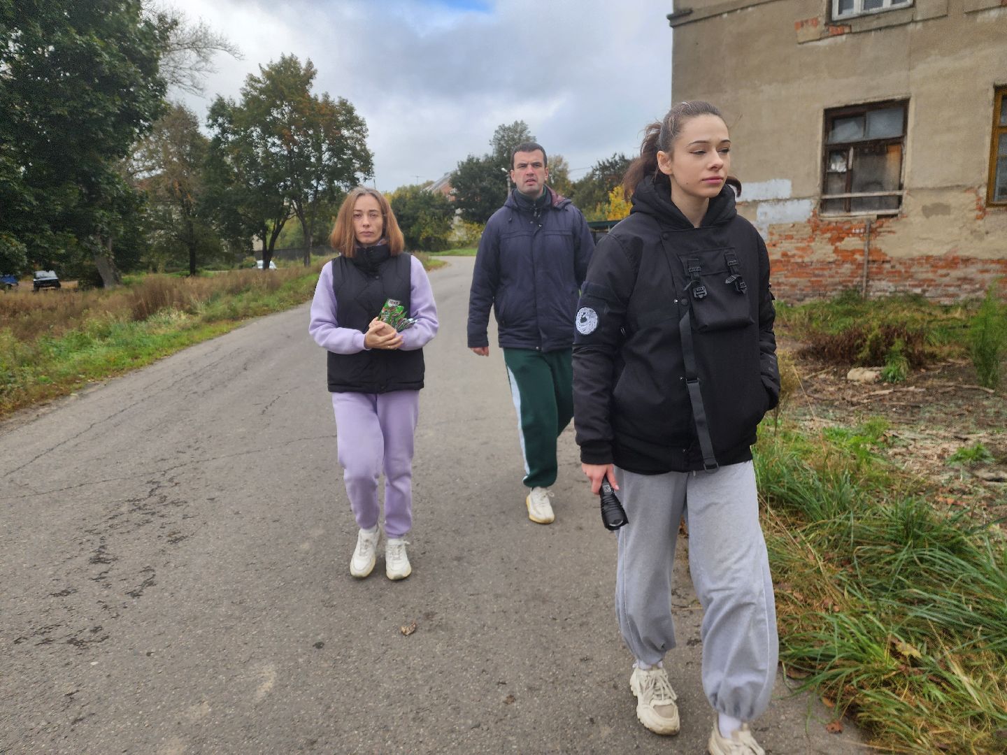 красноармейск, городской округ пушкинский, спасение бездомных животных, зооволонтеры,кошки,