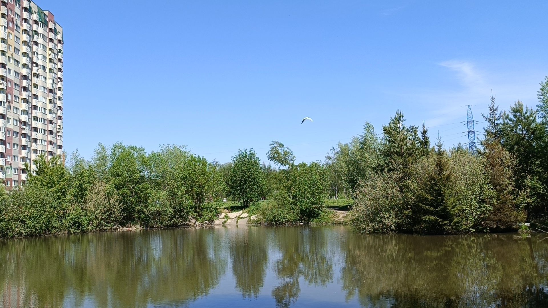 парк, лобня , благоустройство,