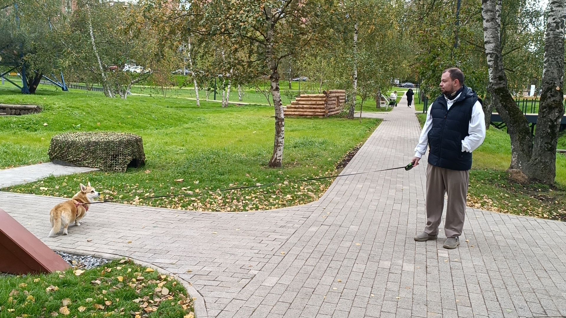 парк, лобня , благоустройство,