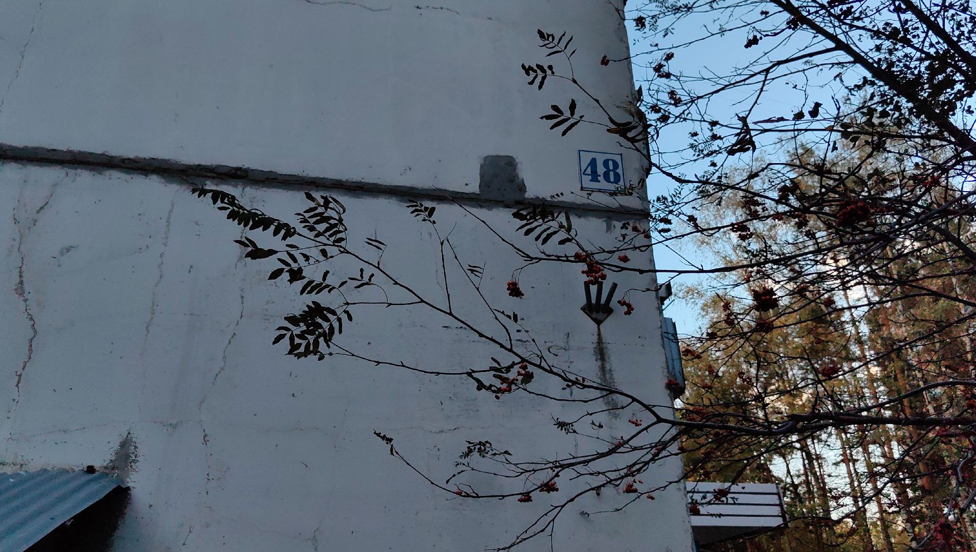 отопление, пробная топка, соц объект, школа, котельная,