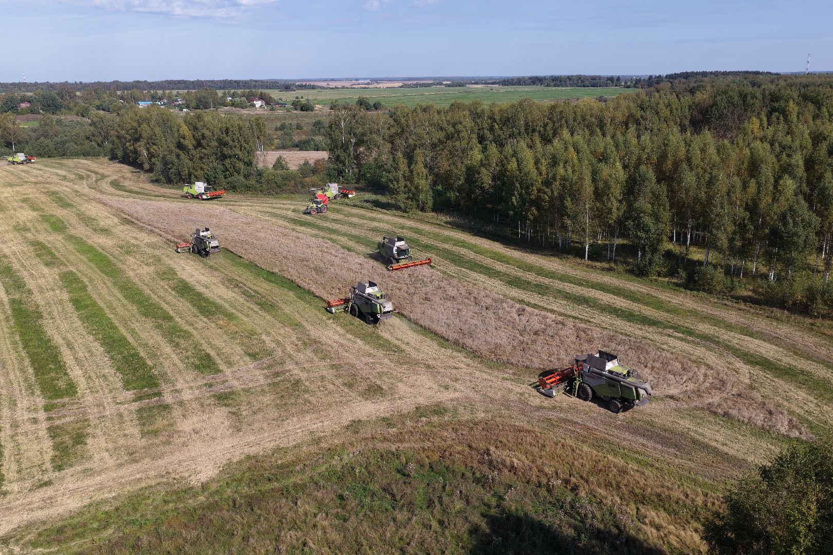 видео с коптера, сбор рапса, урожай 2025,