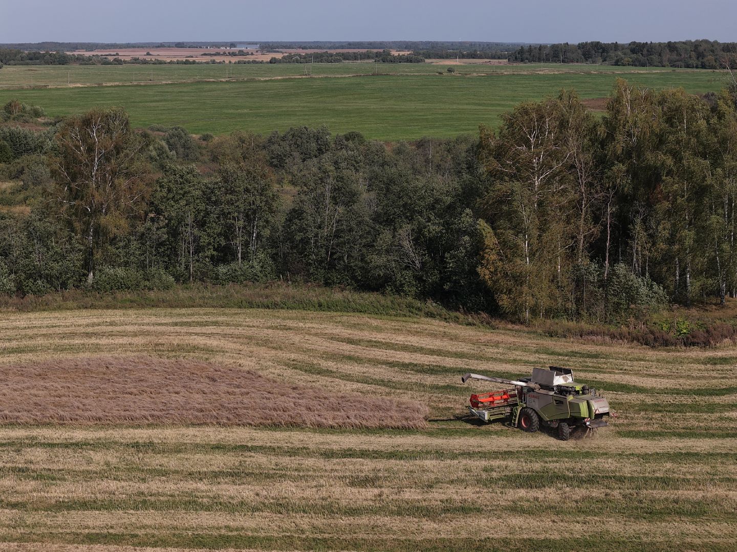видео с коптера, сбор рапса, урожай 2025,