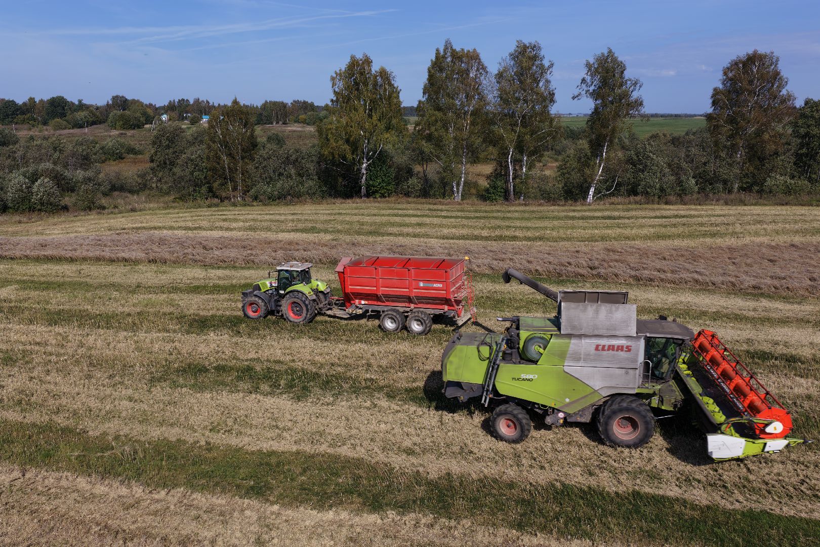 видео с коптера, сбор рапса, урожай 2025,