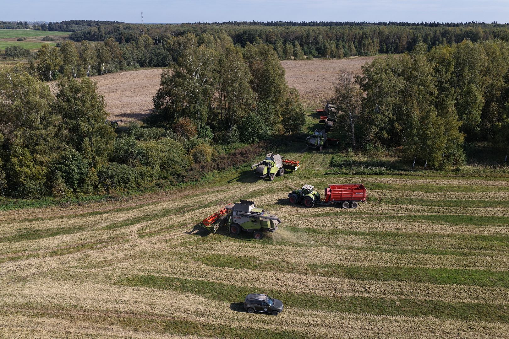 видео с коптера, сбор рапса, урожай 2025,
