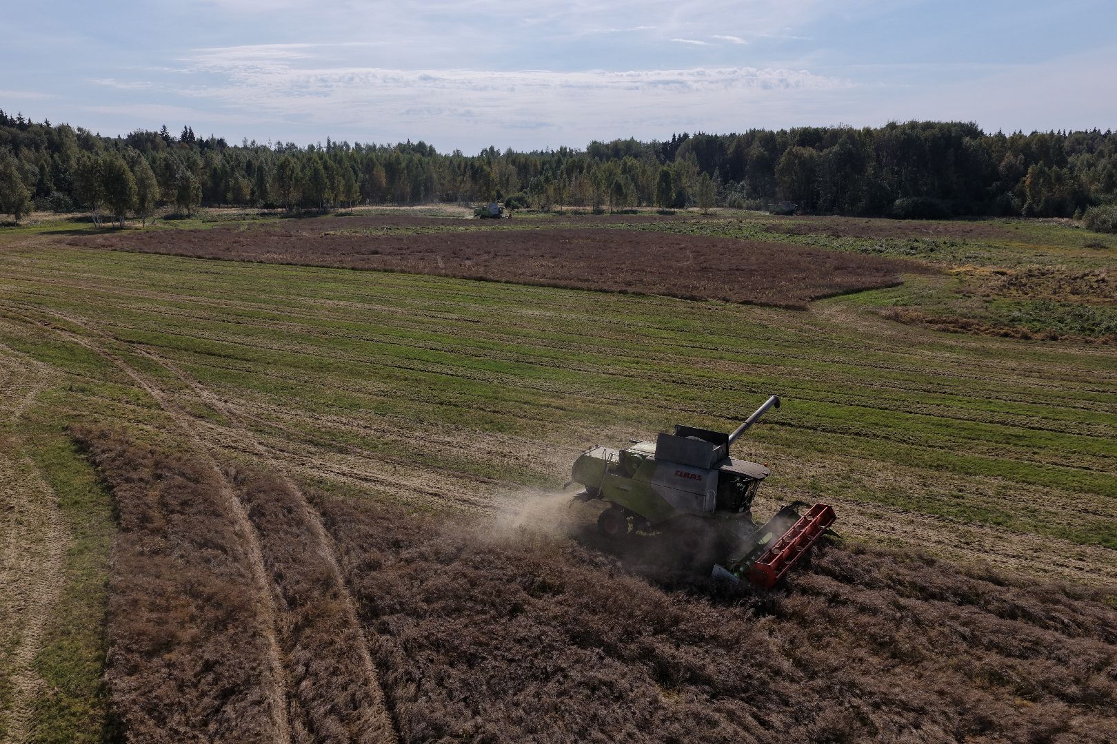 видео с коптера, сбор рапса, урожай 2025,