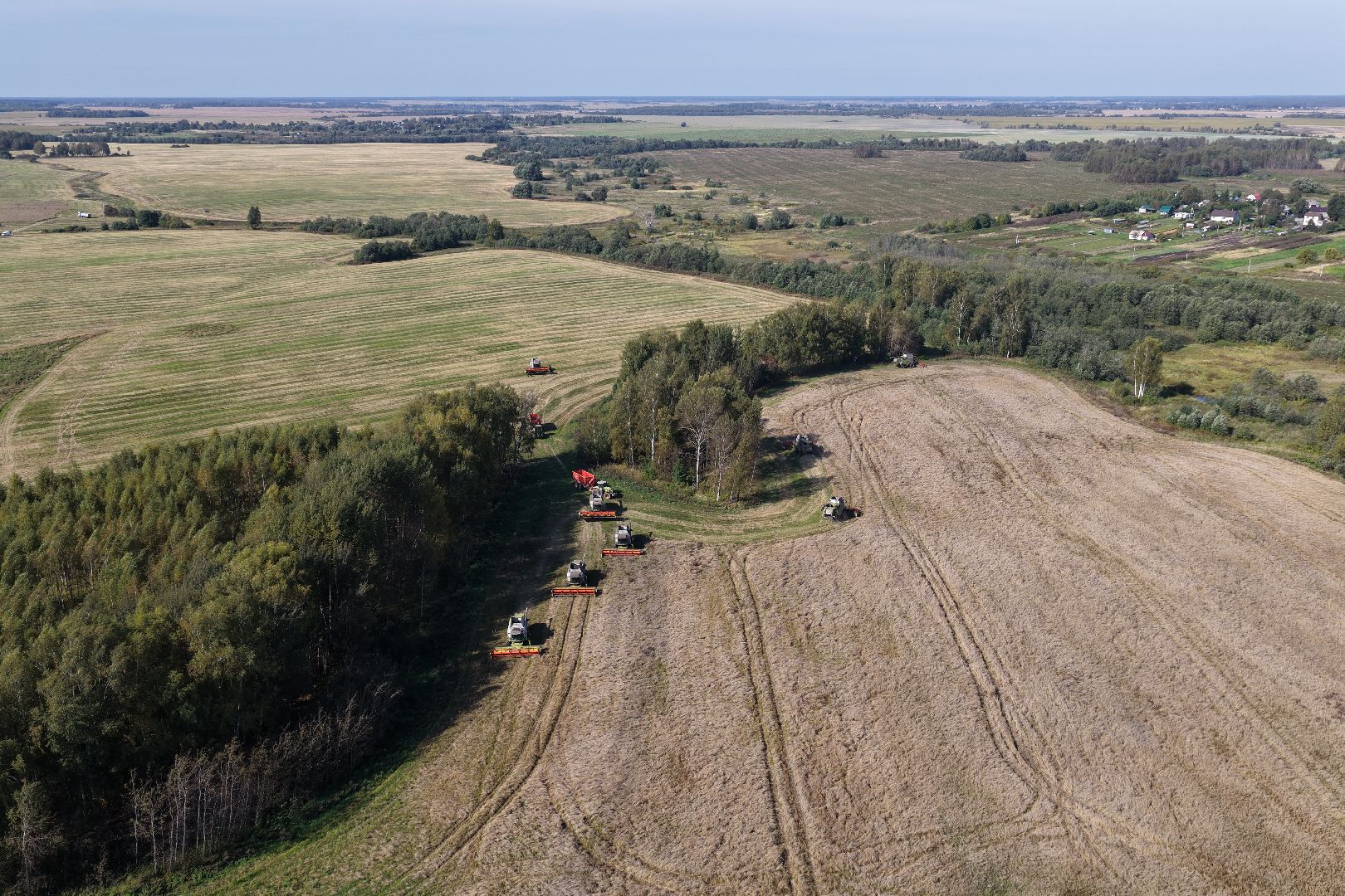 видео с коптера, сбор рапса, урожай 2025,
