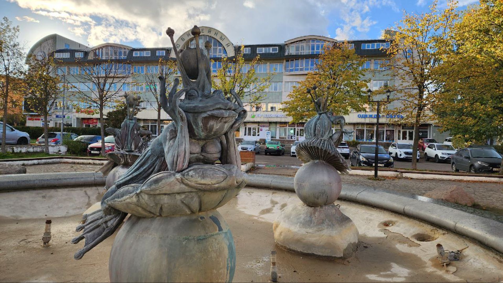 Дмитров, Выездная администрация , Активное долголетие,