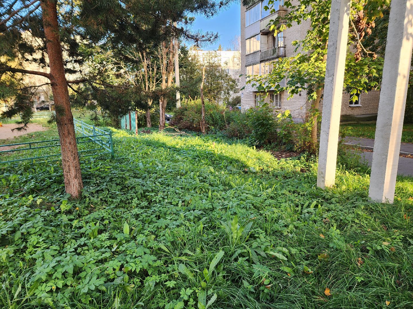 солнечногорск, жители, выездная администрация, вопросы,