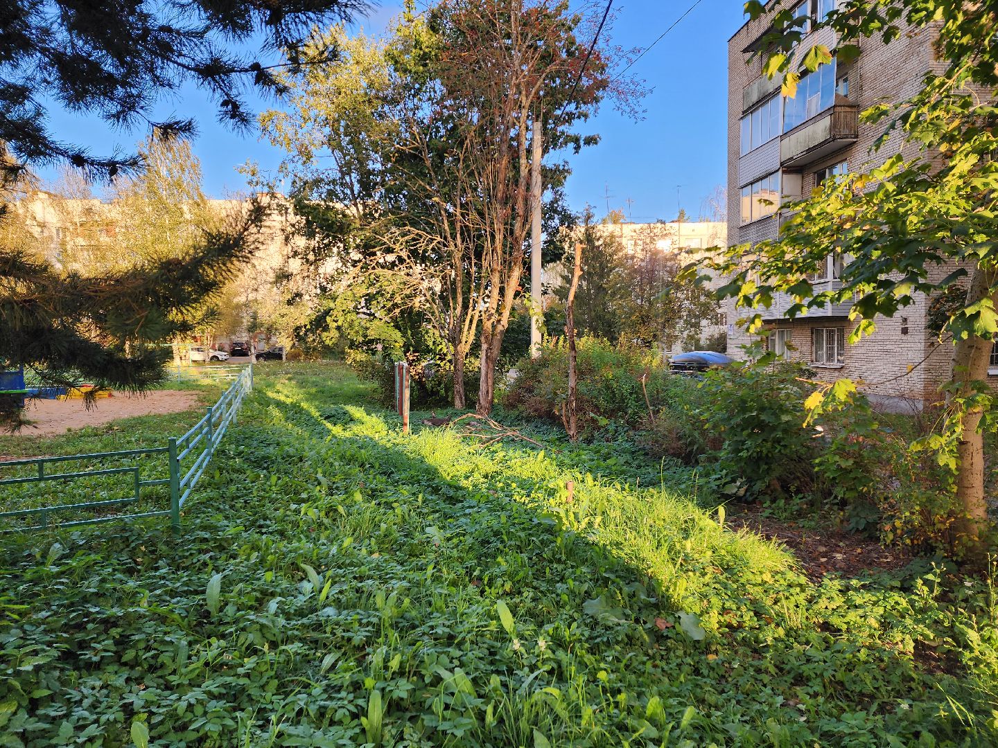 солнечногорск, жители, выездная администрация, вопросы,