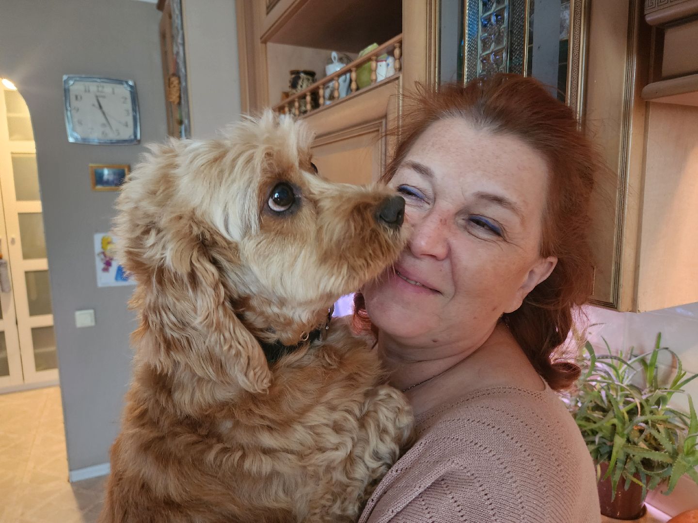 сво, помощь, одинцовский округ, сбор бойцам сво,