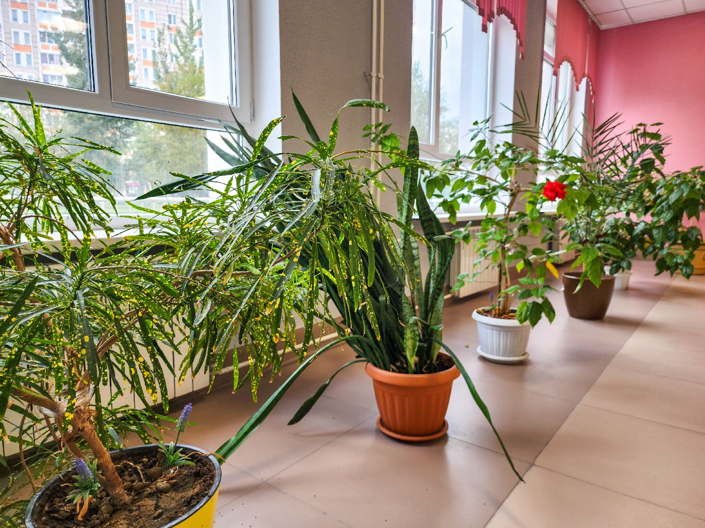 Подольск, отопление соцобъектов, тепло в школах, отопительный сезон 2025-2026, итп,