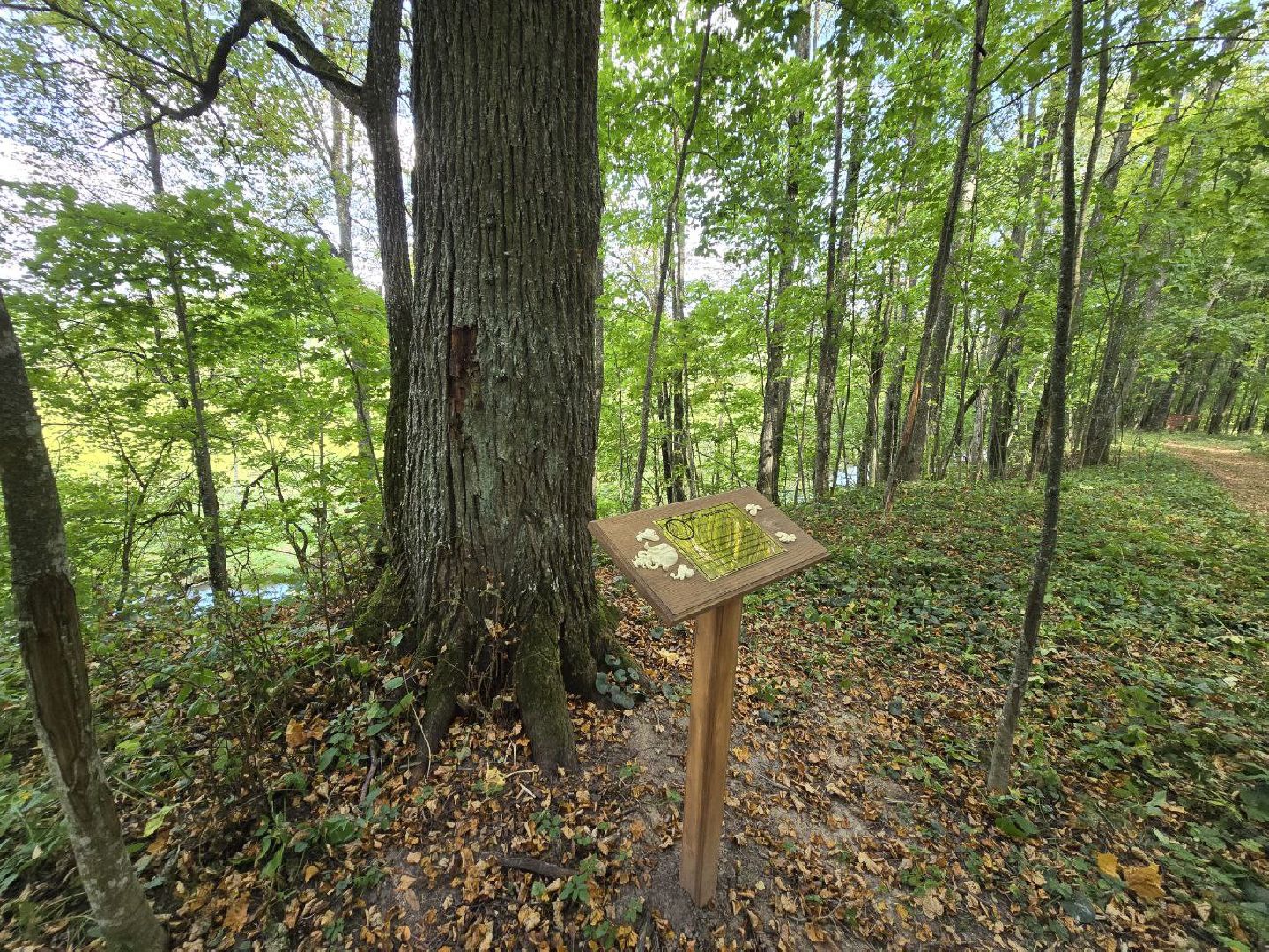 можайск, можайский муниципальный округ, подмосковье, история, немые свидетели войны, великая отечественная война,