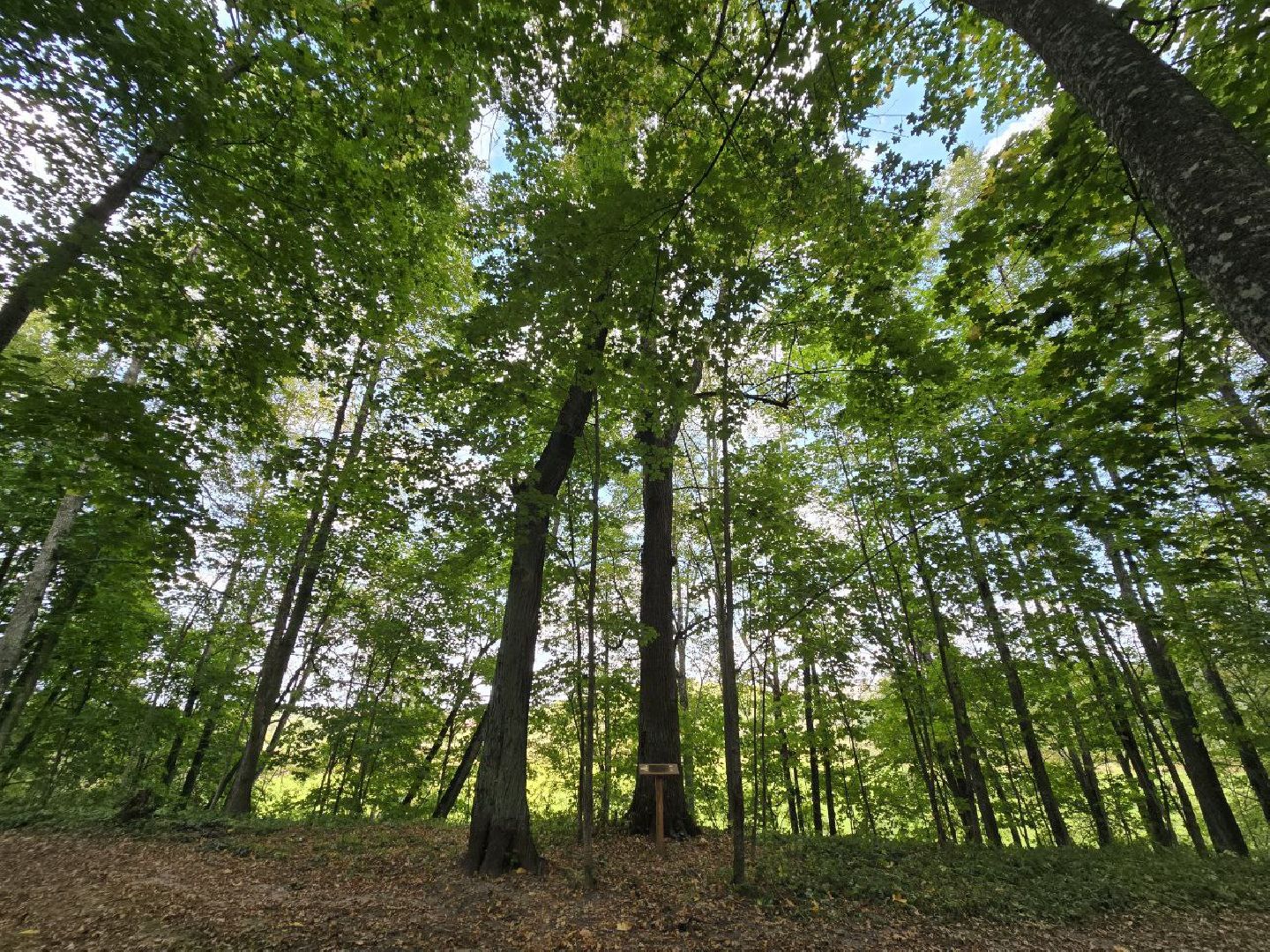 можайск, можайский муниципальный округ, подмосковье, история, немые свидетели войны, великая отечественная война,