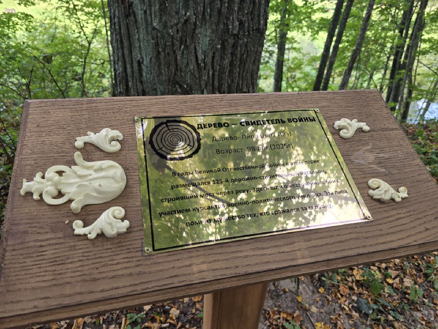 можайск, можайский муниципальный округ, подмосковье, история, немые свидетели войны, великая отечественная война,