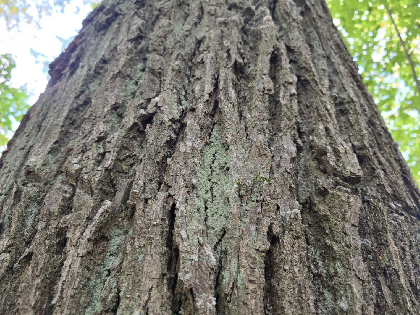 можайск, можайский муниципальный округ, подмосковье, история, немые свидетели войны, великая отечественная война,