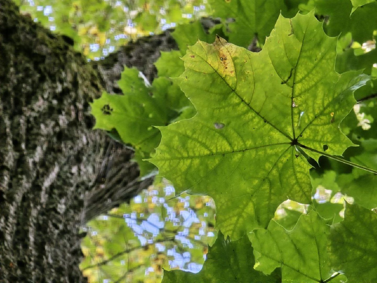 можайск, можайский муниципальный округ, подмосковье, история, немые свидетели войны, великая отечественная война,
