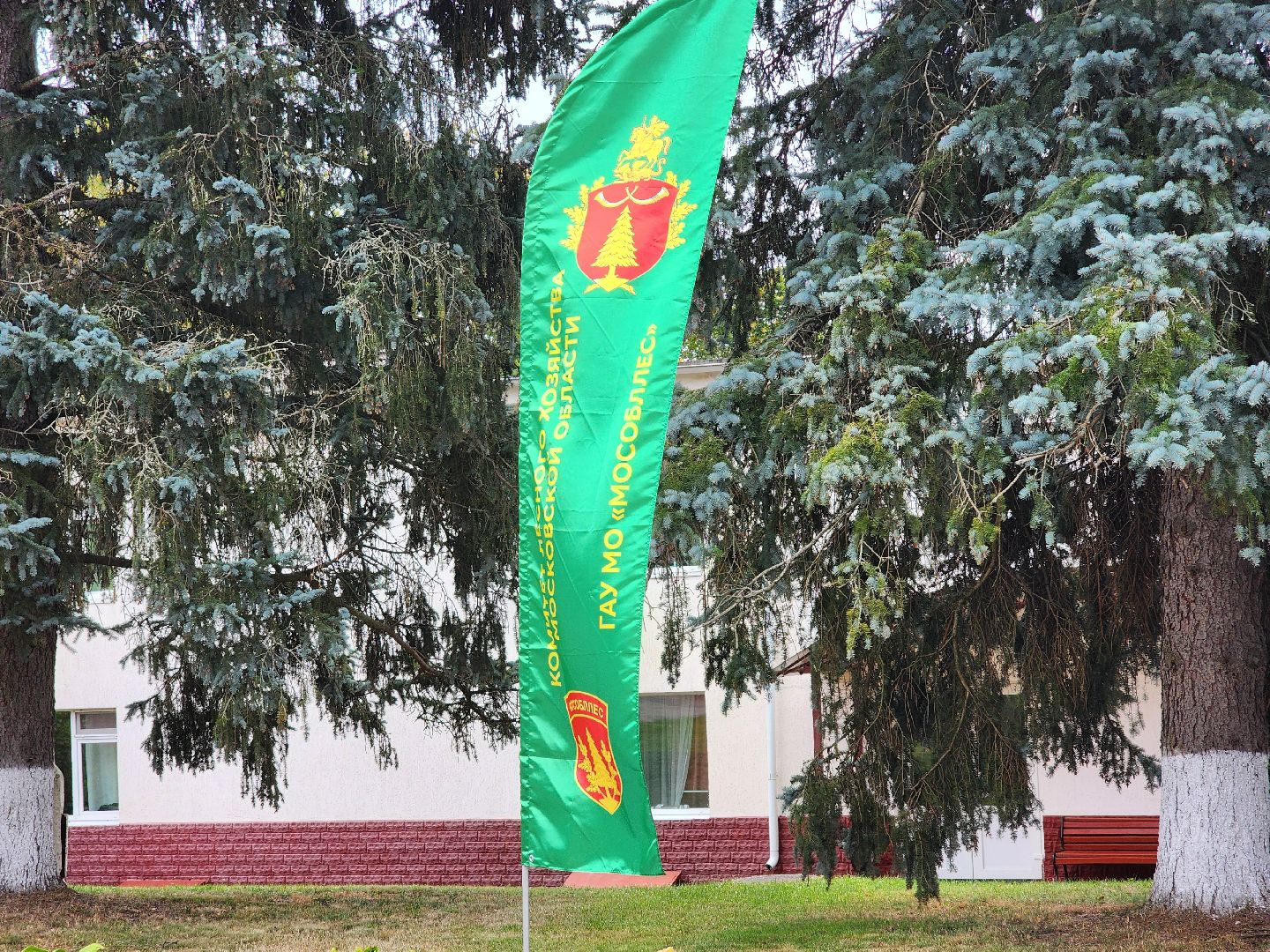 пушкинский городской округ, левково, лесничество, юные лесничие, всероссийский конкурс, лесное многоборье, юный лесовод, конкурс подрост, комитет лесного хозяйства, слет школьных лесничеств,оздоровительный центр левково,