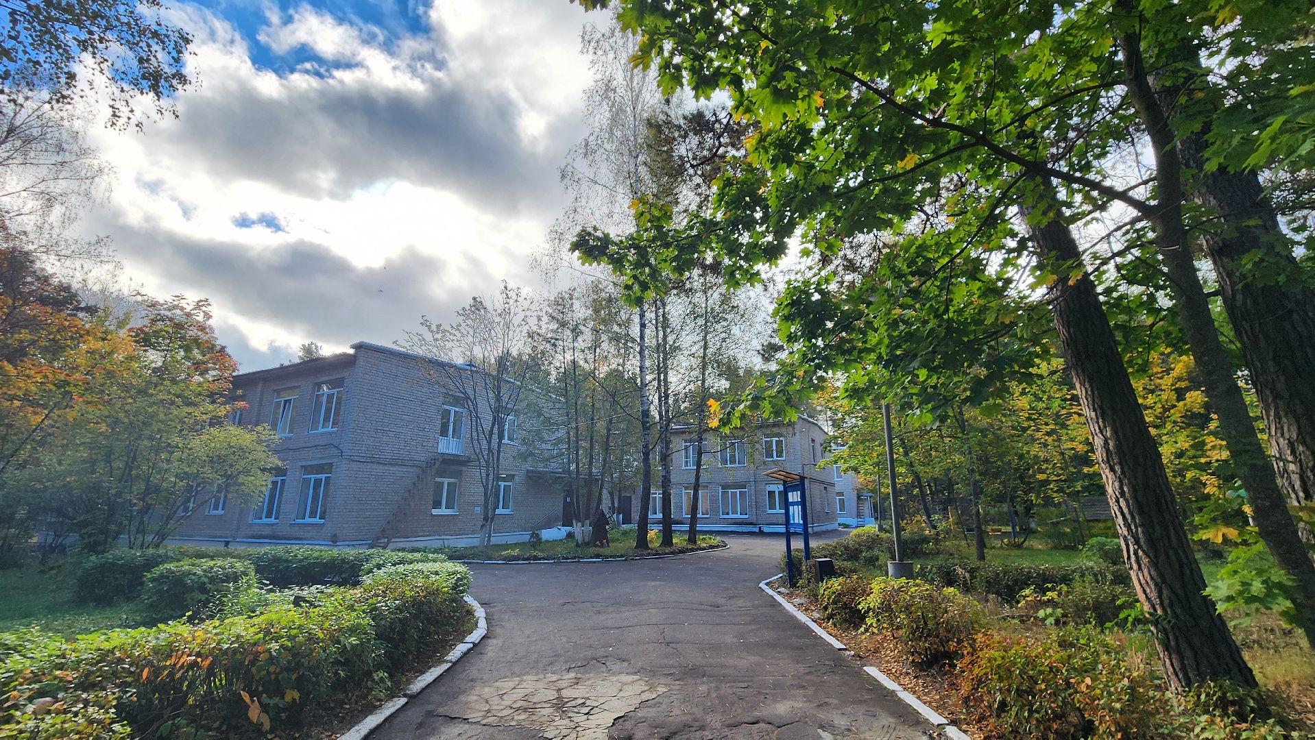 протвино, активное долголетие, нейрогимннастика,