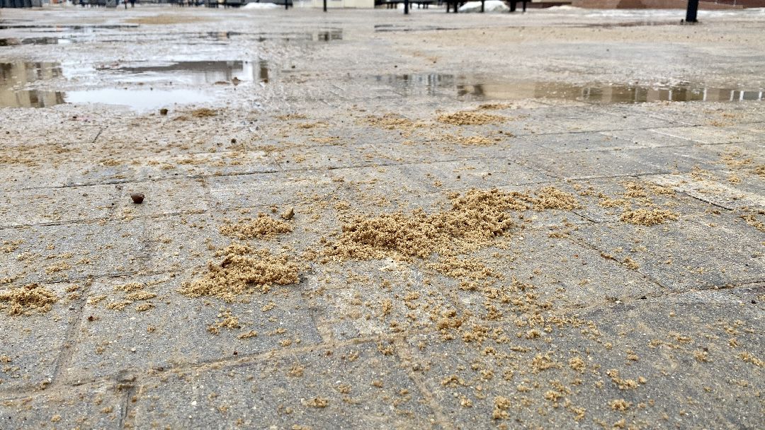 Клин, общество