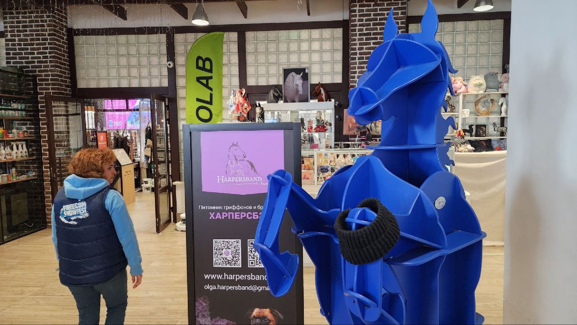 Дмитров, Максима Парк, Фестиваль Конная Россия, Минспорта,