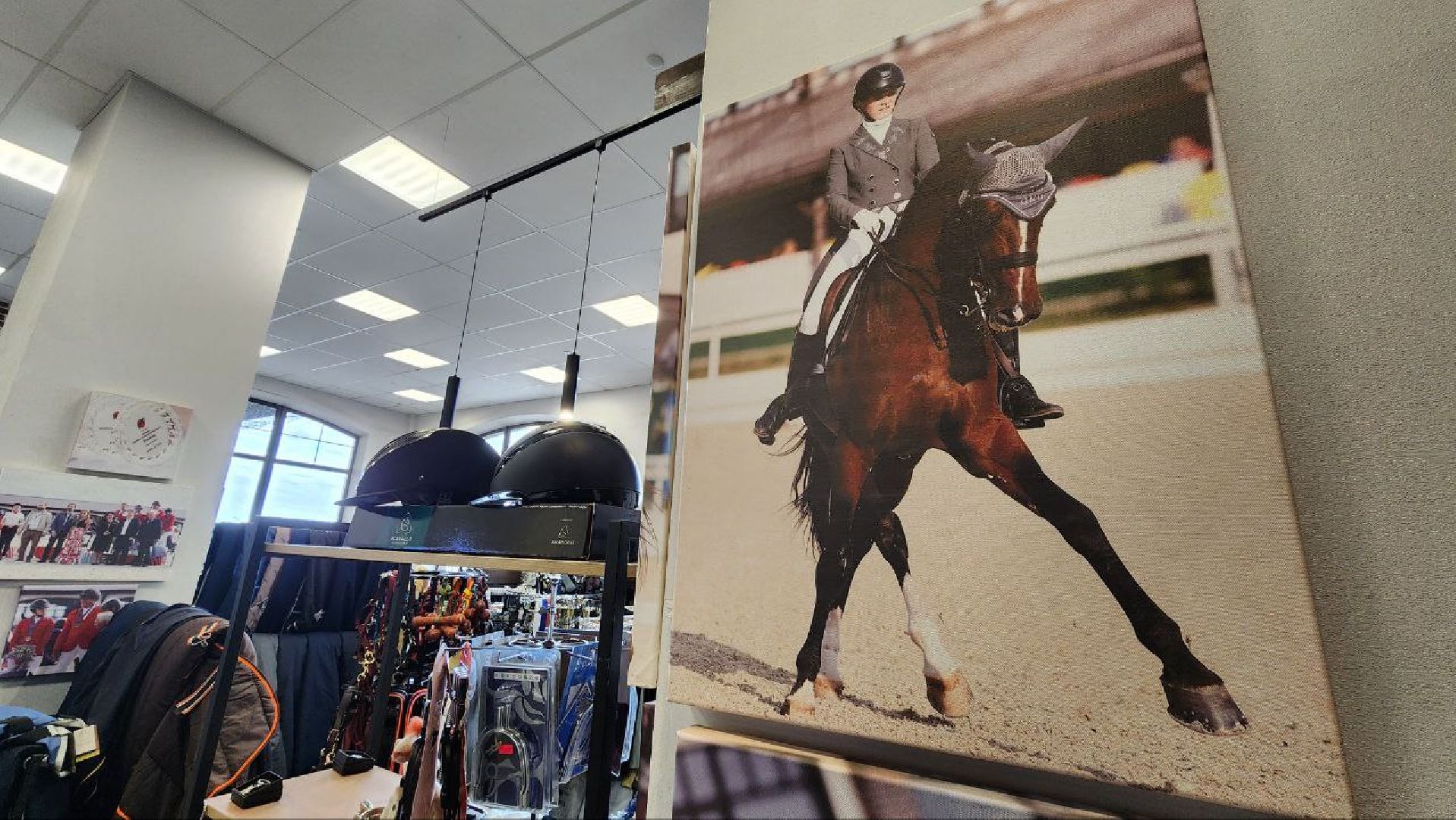 Дмитров, Максима Парк, Фестиваль Конная Россия, Минспорта,