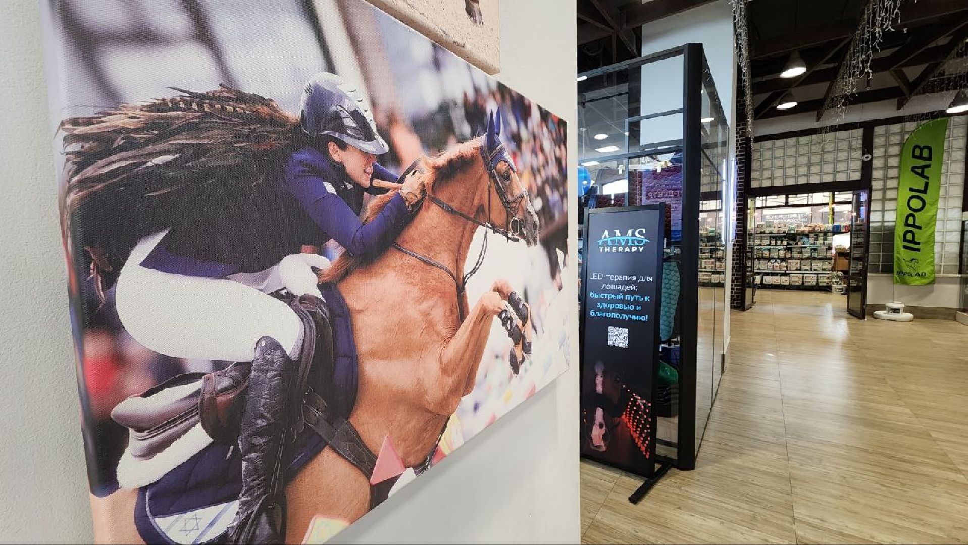 Дмитров, Максима Парк, Фестиваль Конная Россия, Минспорта,