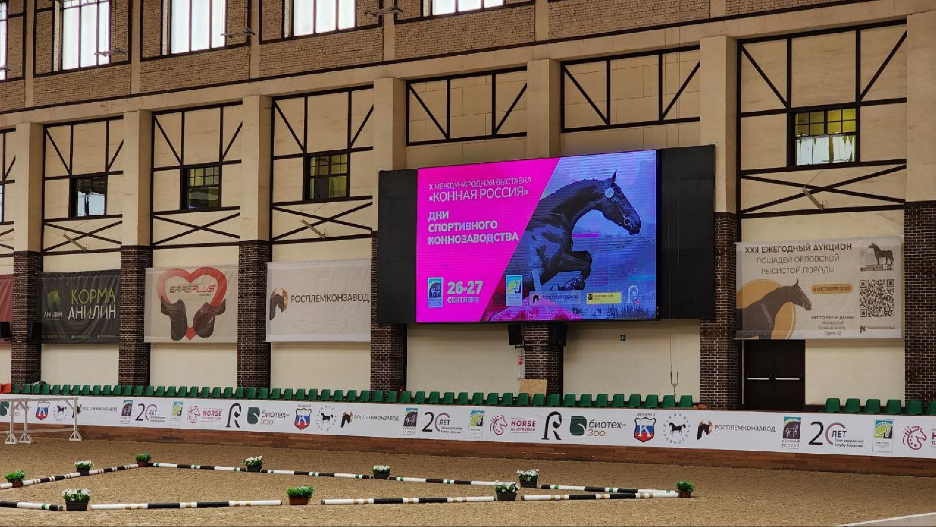 Дмитров, Максима Парк, Фестиваль Конная Россия, Минспорта,