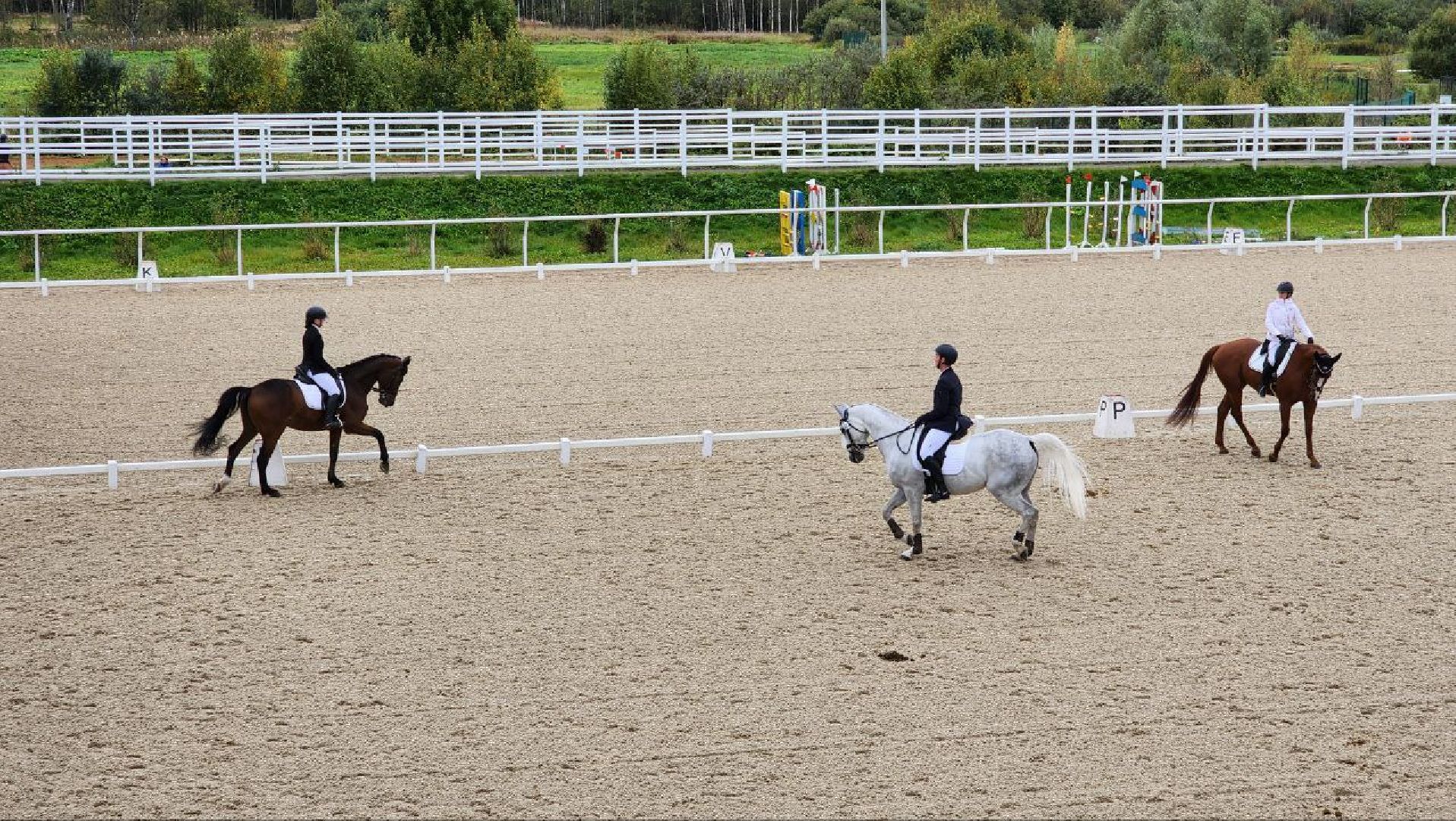 Дмитров, Максима Парк, Фестиваль Конная Россия, Минспорта,