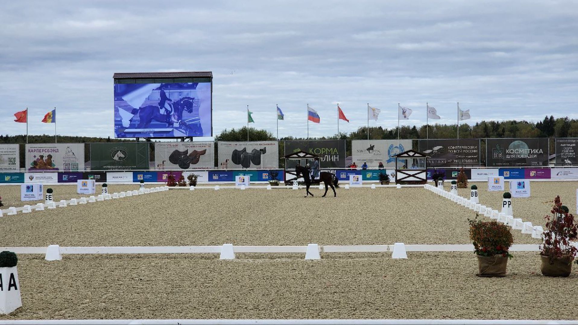 Дмитров, Максима Парк, Фестиваль Конная Россия, Минспорта,
