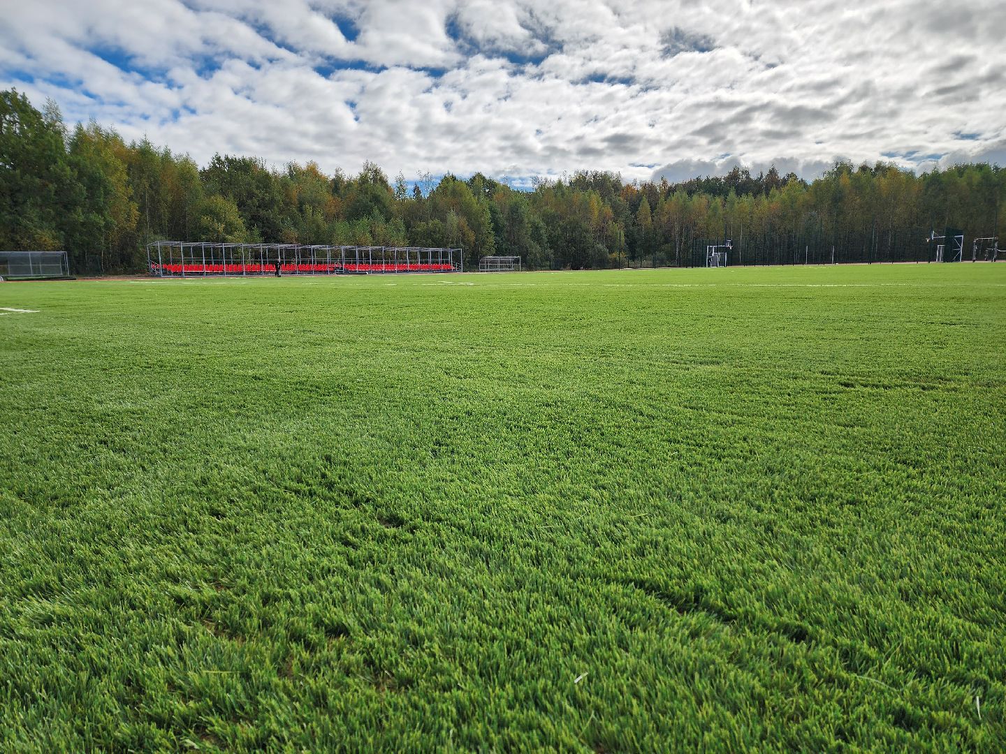 солнечногорск, спорт, стадион, реконструкция, жители ,